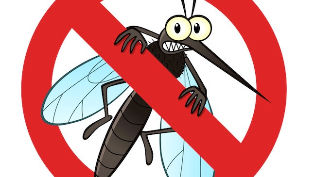 prime-tellas-mosquito